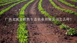 广西北流市鲜然生态农业有限公司怎么样？