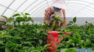 种植备案申请书怎么写