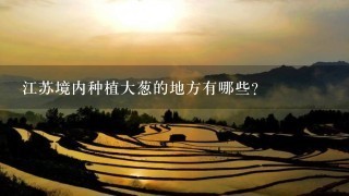 江苏境内种植大葱的地方有哪些？