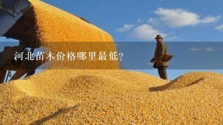 河北苗木价格哪里最低？