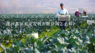 漯河鑫田农业发展有限公司怎么样？