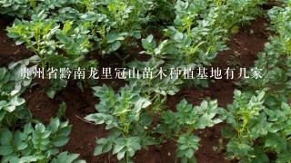 贵州省黔南龙里冠山苗木种植基地有几家