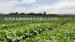 长沙县金鑫园林绿化有限公司介绍？