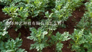 会泽坤艺种植有限公司怎么样？