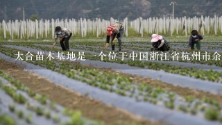 太合苗木基地是一个位于中国浙江省杭州市余杭区的地方吗？如果是的话它是在哪里呢？