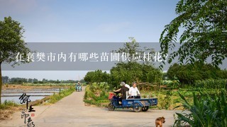 在襄樊市内有哪些苗圃供应桂花？