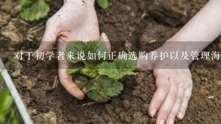 对于初学者来说如何正确选购养护以及管理海棠基地的苗木？