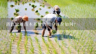 浙江盆景苗木基地的用户评价如何？