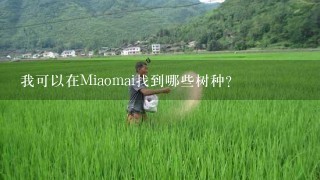 我可以在Miaomai找到哪些树种？