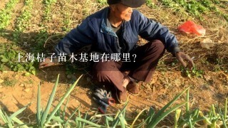 上海桔子苗木基地在哪里？