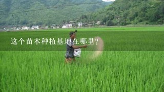 这个苗木种植基地在哪里？