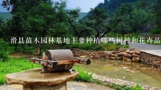 滑县苗木园林基地主要种植哪些树种和花卉品种