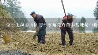 位于上海金山区的朱家角花卉苗木基地是否提供免费配送