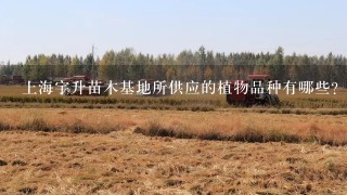 上海宇升苗木基地所供应的植物品种有哪些