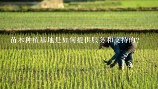 苗木种植基地是如何提供服务和支持的