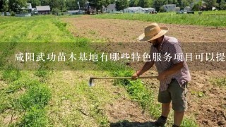 咸阳武功苗木基地有哪些特色服务项目可以提供给我吗