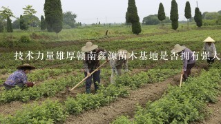 技术力量雄厚赣南鑫源苗木基地是否拥有强大的种植管理和生产团队