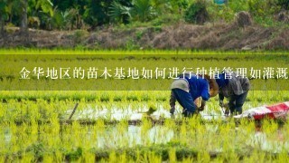 金华地区的苗木基地如何进行种植管理如灌溉方法病虫害防治等