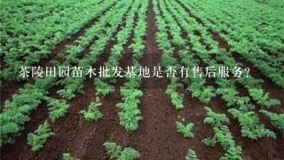 茶陵田园苗木批发基地是否有售后服务