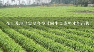 在江苏地区需要多少时间生长成型才能出售