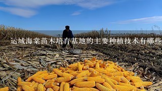 运城海棠苗木培育基地的主要种植技术有哪些