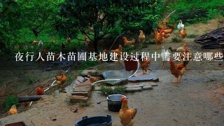 夜行人苗木苗圃基地建设过程中需要注意哪些安全生产因素呢