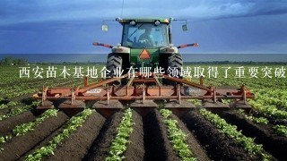 西安苗木基地企业在哪些领域取得了重要突破或者获得了重要的奖项和荣誉吗