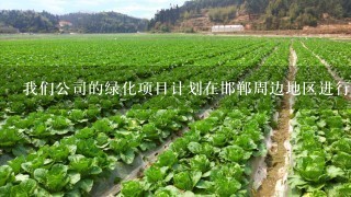 我们公司的绿化项目计划在邯郸周边地区进行您有什么建议吗