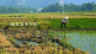 一碗米饭多少钱