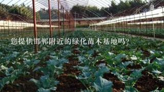 您提供邯郸附近的绿化苗木基地吗