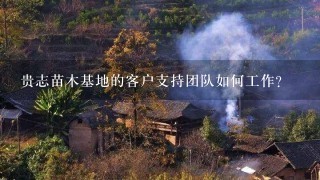 贵志苗木基地的客户支持团队如何工作