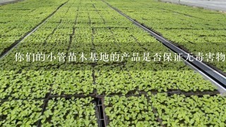 你们的小管苗木基地的产品是否保证无毒害物质