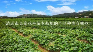 清远市长泰花卉苗木基地的产品种类有哪些