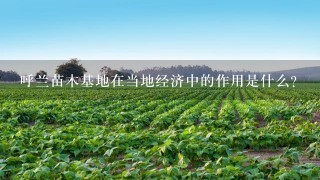 呼兰苗木基地在当地经济中的作用是什么