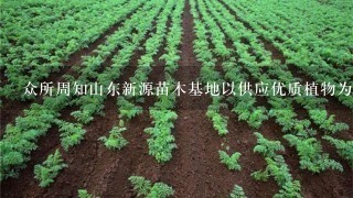 众所周知山东新源苗木基地以供应优质植物为主营业务那么该基地在哪些地方拥有丰富的种植资源