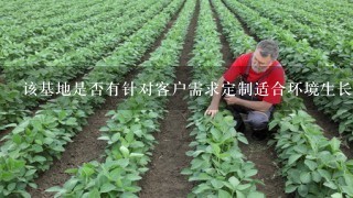 该基地是否有针对客户需求定制适合环境生长的植物组合方案的能力