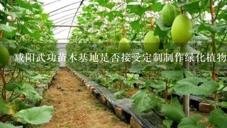 咸阳武功苗木基地是否接受定制制作绿化植物的订单呢