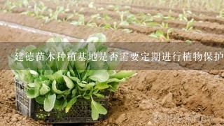 建德苗木种植基地是否需要定期进行植物保护