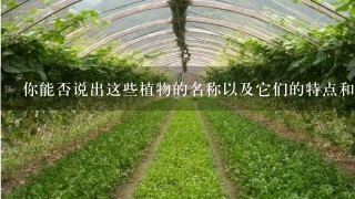 你能否说出这些植物的名称以及它们的特点和用途