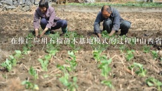 在推广应用石榴苗木基地模式的过程中山西省内的农民是否都积极参与其中