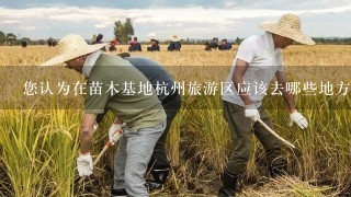 您认为在苗木基地杭州旅游区应该去哪些地方用餐呢