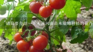 请简要介绍一下无锡河南苗木基地种植的花卉植物有哪些种类