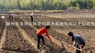 赣州市龙虎山林业局苗木基地你对以上信息有何补充或修改