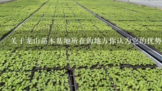 关于龙山苗木基地所在的地方你认为它的优势在哪些方面