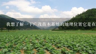 我想了解一下广茂苗木基地的地理位置它是在哪里