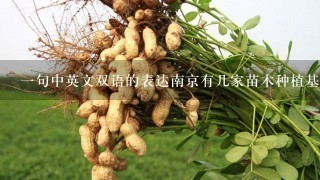 一句中英文双语的表达南京有几家苗木种植基地