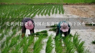 是的问题是在中国山东省济南市历下区有一个叫做山东太阳李苗木种植基地的企业存在吗