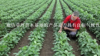 廊坊草坪苗木基地的产品是否具有良耐气候性