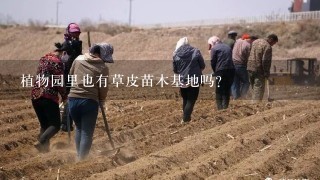 植物园里也有草皮苗木基地吗