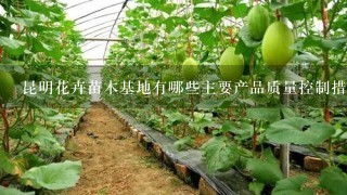 昆明花卉苗木基地有哪些主要产品质量控制措施?